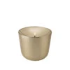 Stelton Solis Olielampe Brass -Husholdning Artikler 5709846030886