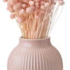 Knabstrup Keramik Knabstrup Vase Riller Rosa 20 Cm -Husholdning Artikler 5713959012493